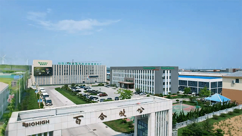 ȫٺϿG܊м(j)8ܹSȫҕ