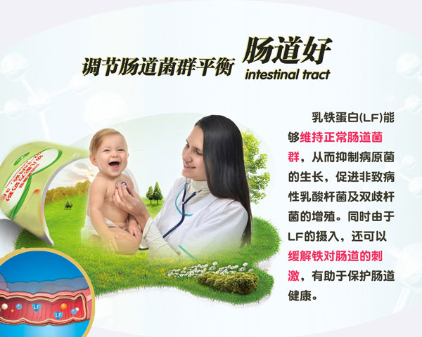 貝因美臻愛(ài)幼兒配方奶粉3段908g介紹08.jpg