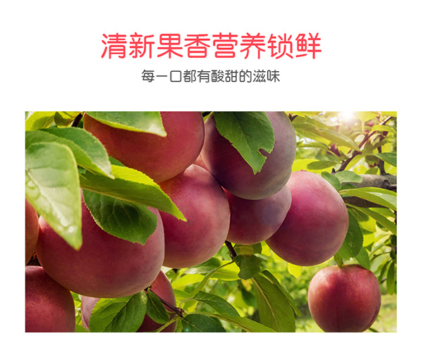 巴瑪熊蜂蜜加應子 (14).jpg