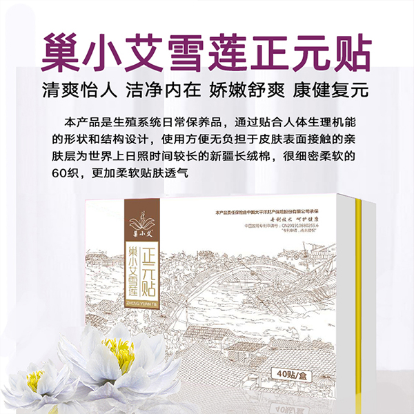 巢小艾雪蓮正元貼 40貼裝 (6)