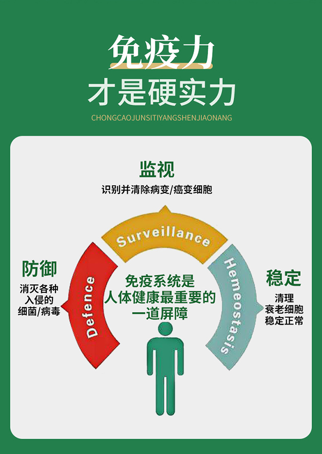仕強(qiáng)戈樂家老鋪蟲草菌絲體洋參膠囊詳情 (2).jpg