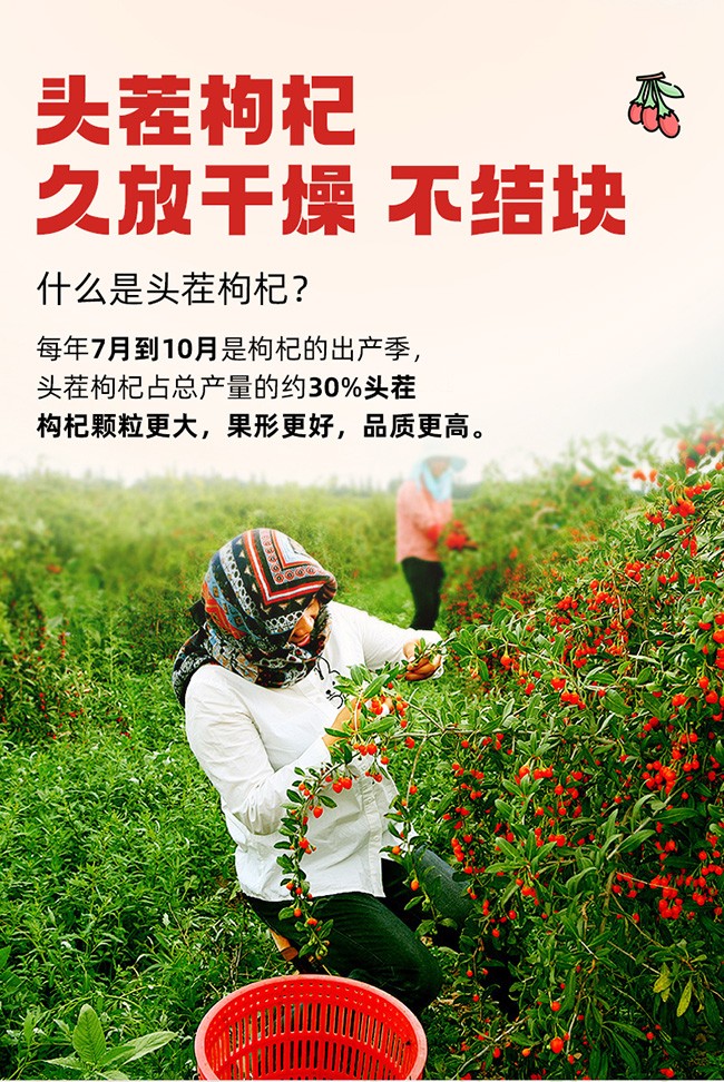 呀啦嗦枸杞干果100g牛皮紙袋詳情 (5).jpg