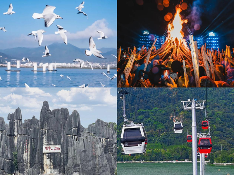 施貝安2025脾胃之約年會(huì)盛典03.png 施貝安2025脾胃之約年會(huì)盛典03.png